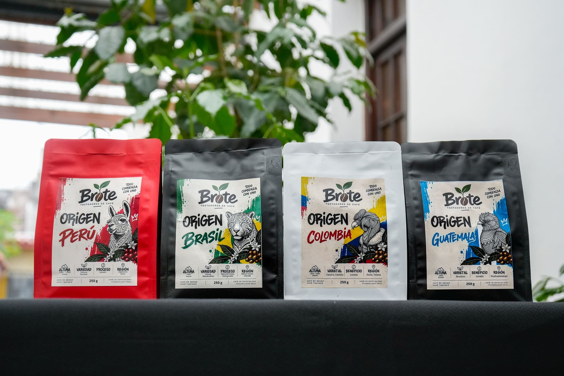 Las bolsas de Brote en fila sobre una mesa, entre plantas