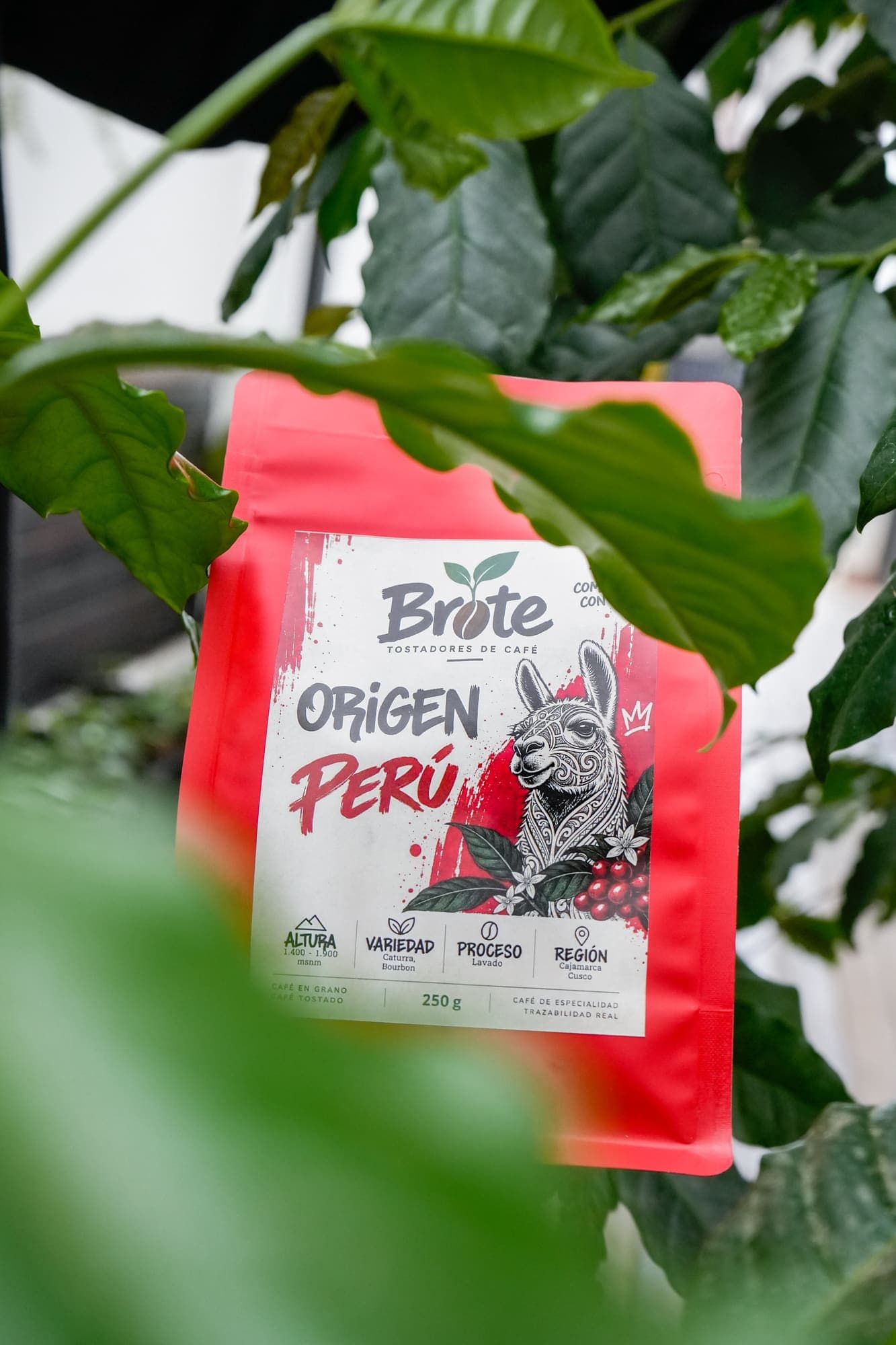 Bolsa de Origen Perú entre hojas de café