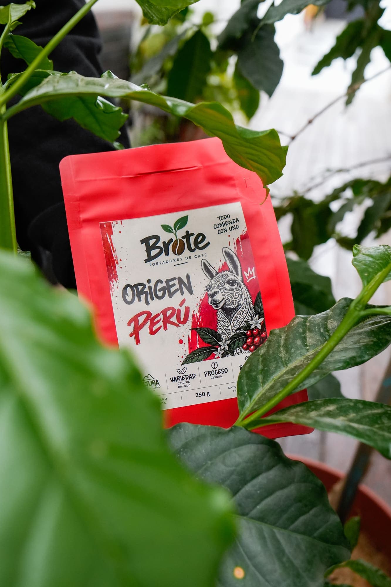 Bolsa de Origen Perú entre hojas de café